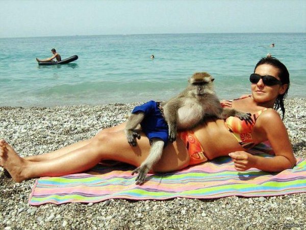 пляж прикол