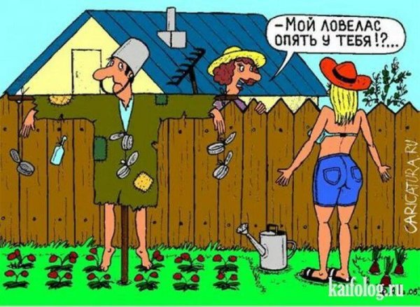 дачник карикатура