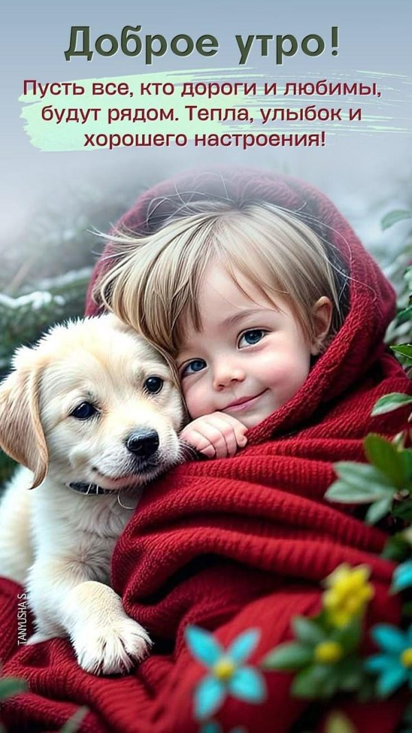 собака для семьи