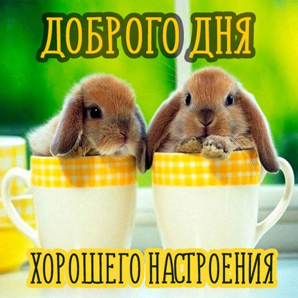 добр день