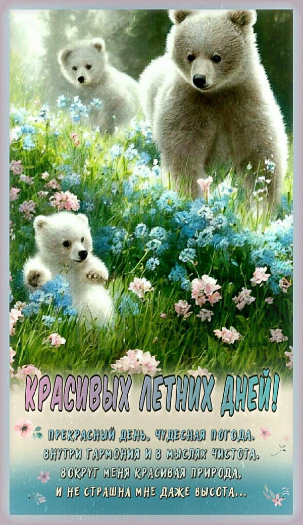 доброго утра лета