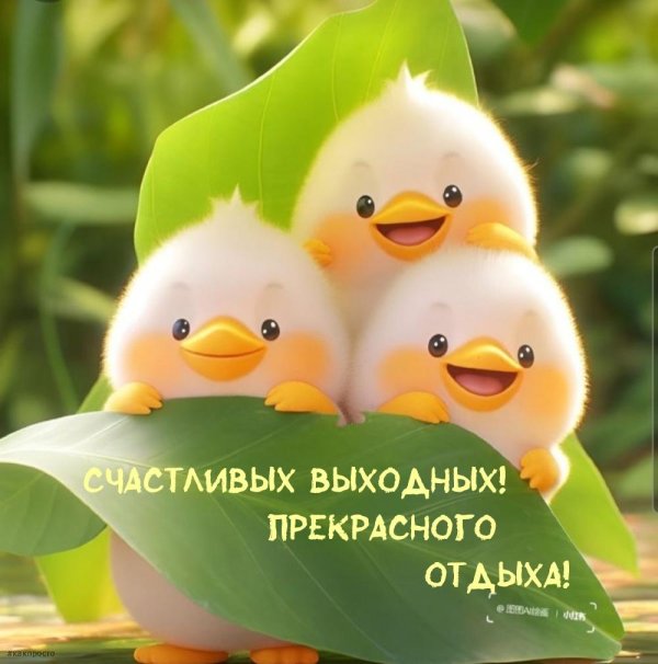 счастливый выходные