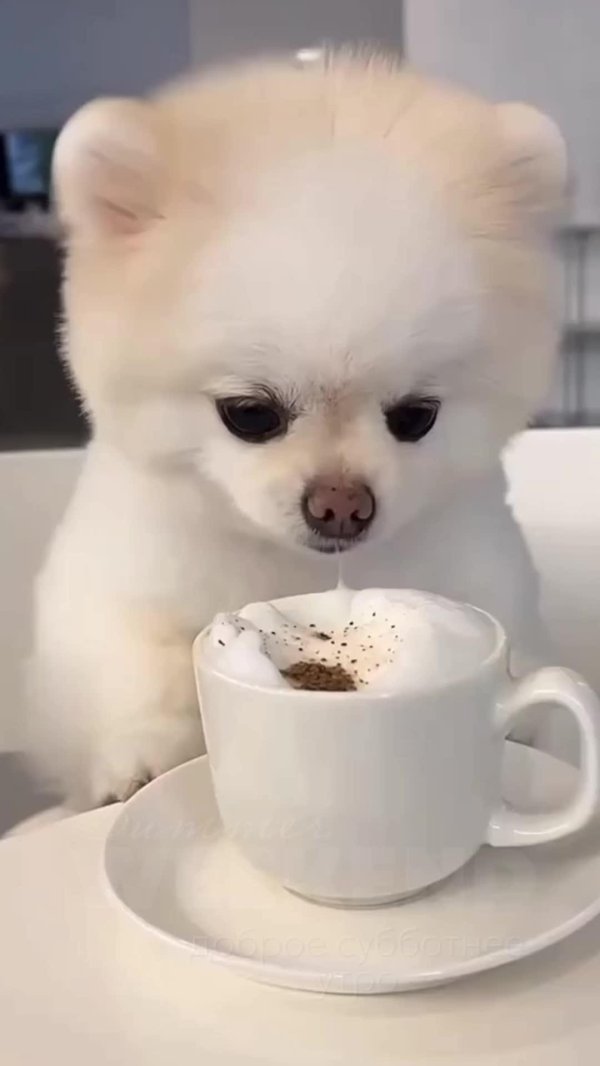 утреннее кофе