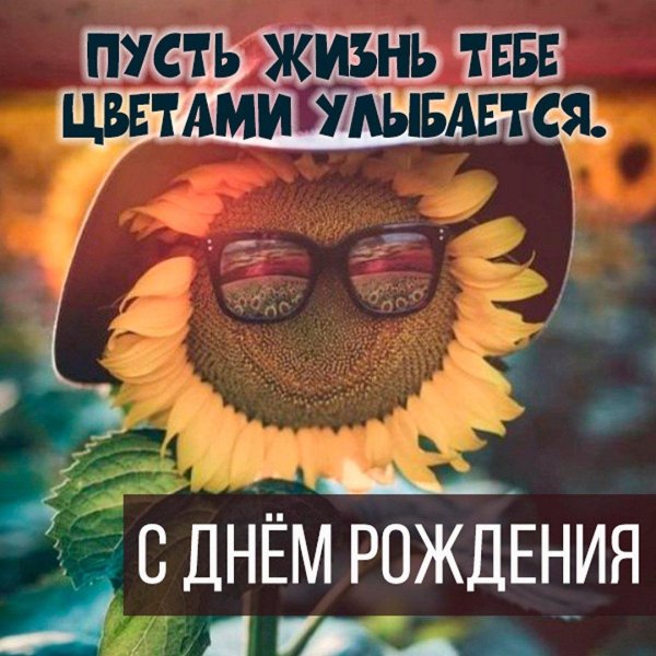 прикольный подсолнух