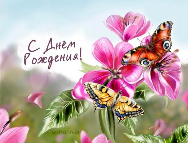 цветок бабочка