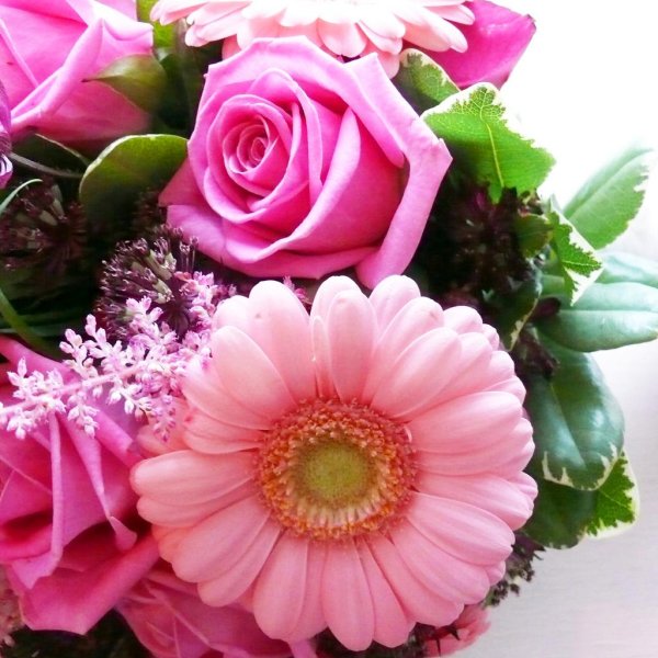 красивая цветок