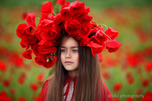 венок из маков