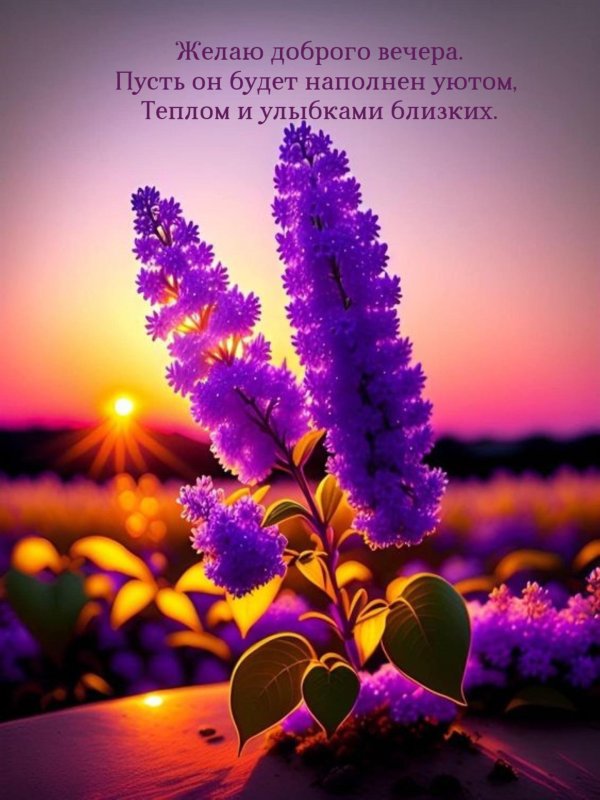 добр вечер