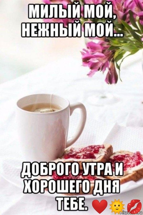 доброе утро любимый