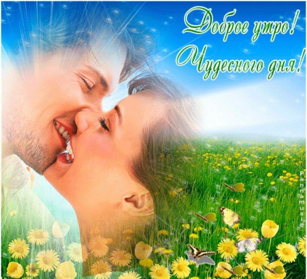 добрый день любимый