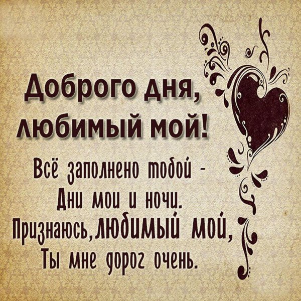 добрый день любимый