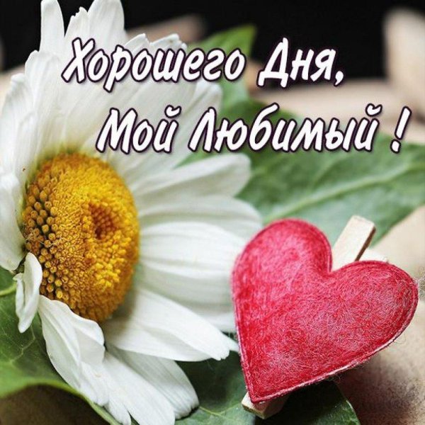 хорошего дня любимая жена
