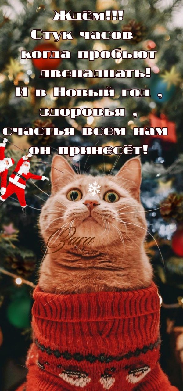 новогоднего настроения