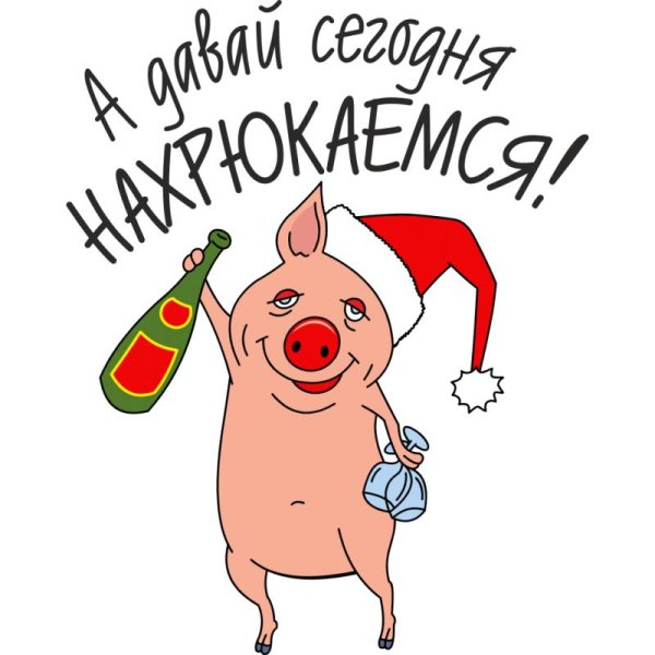 в год свиньи