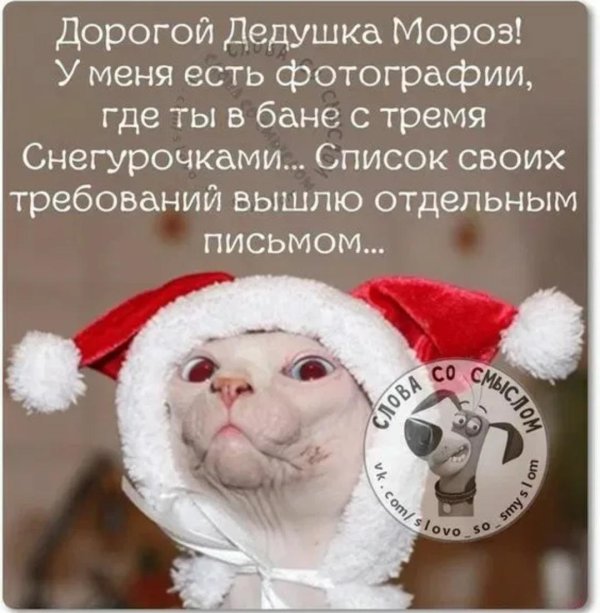 новогодние статусы прикольные