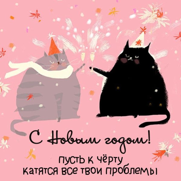кот и новый год