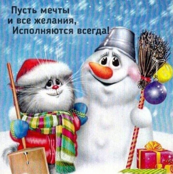 коты алексея долотова