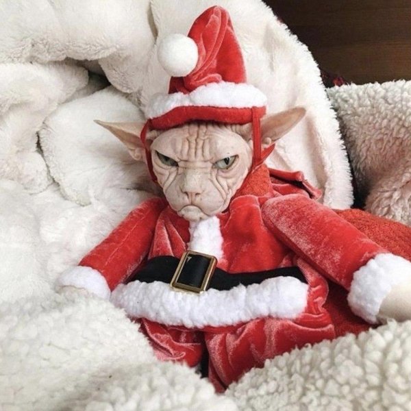 сфинкс локи