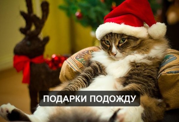 новогоднего настроения