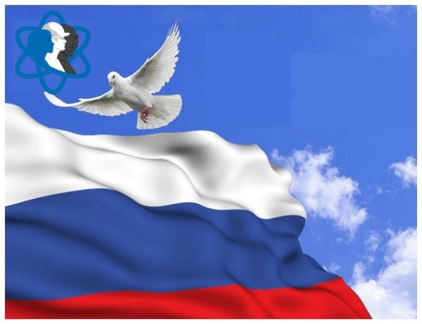 день государственного флага российской