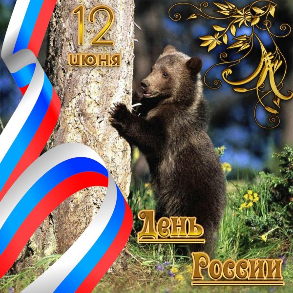 день россии медведь