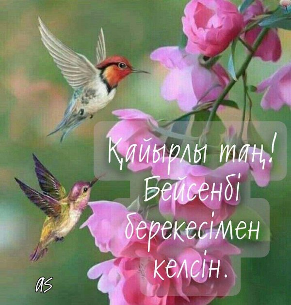 қайырлы таң