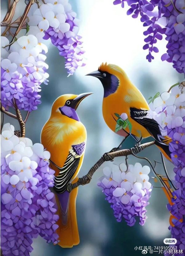 сирень птицы