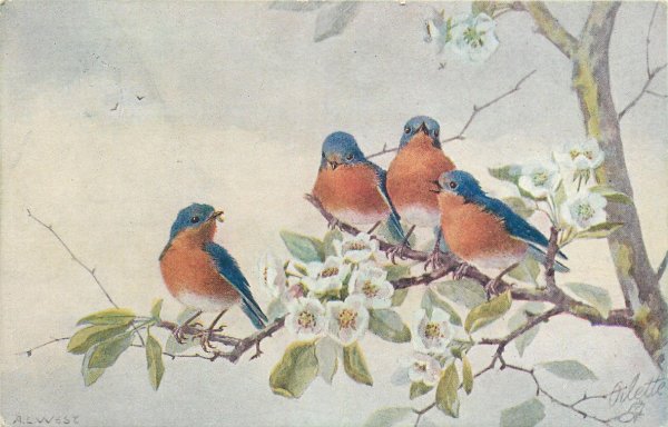 Хорошего дня весенние с птичками