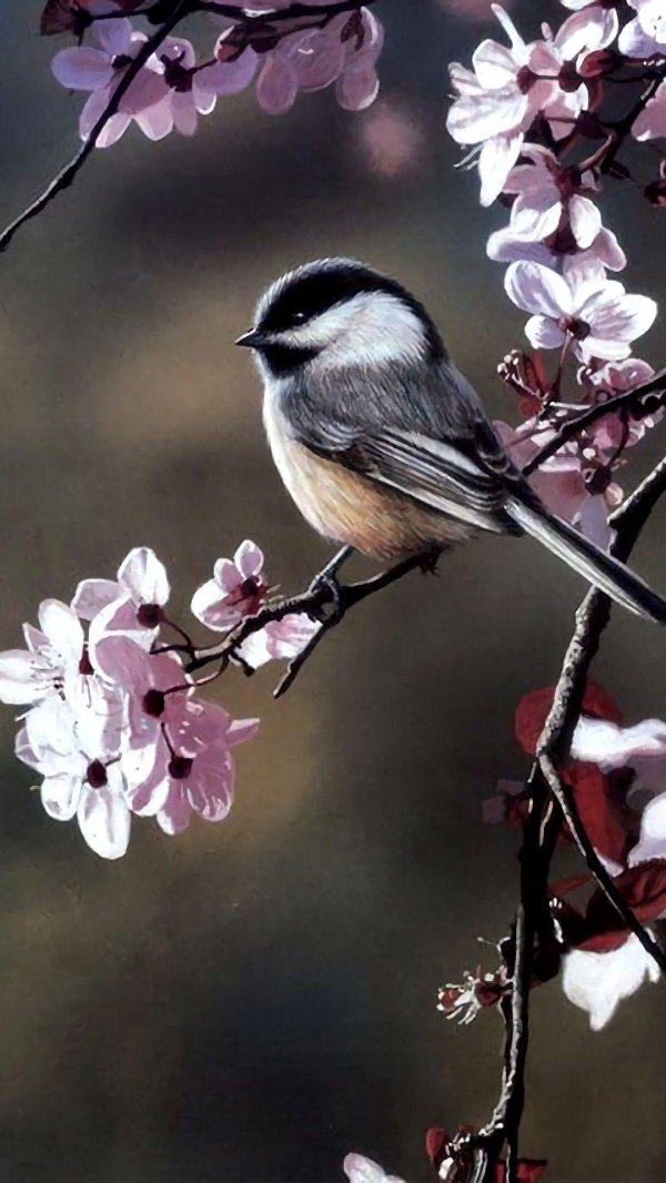 сьюзен бордет художник