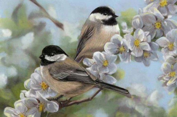 картина синички