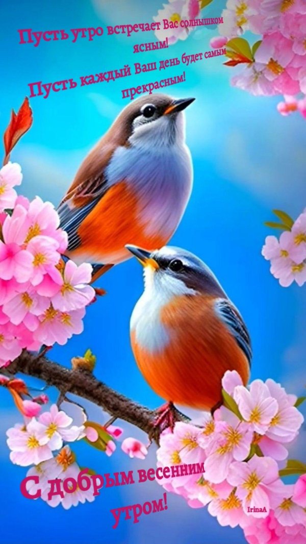 доброго утра весна