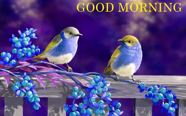 птичка на ветке