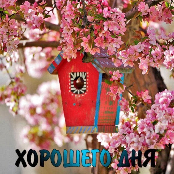 открытка весенняя