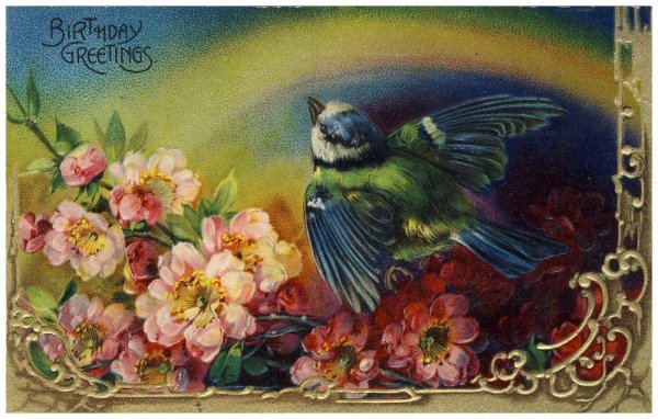 открытки с птицами