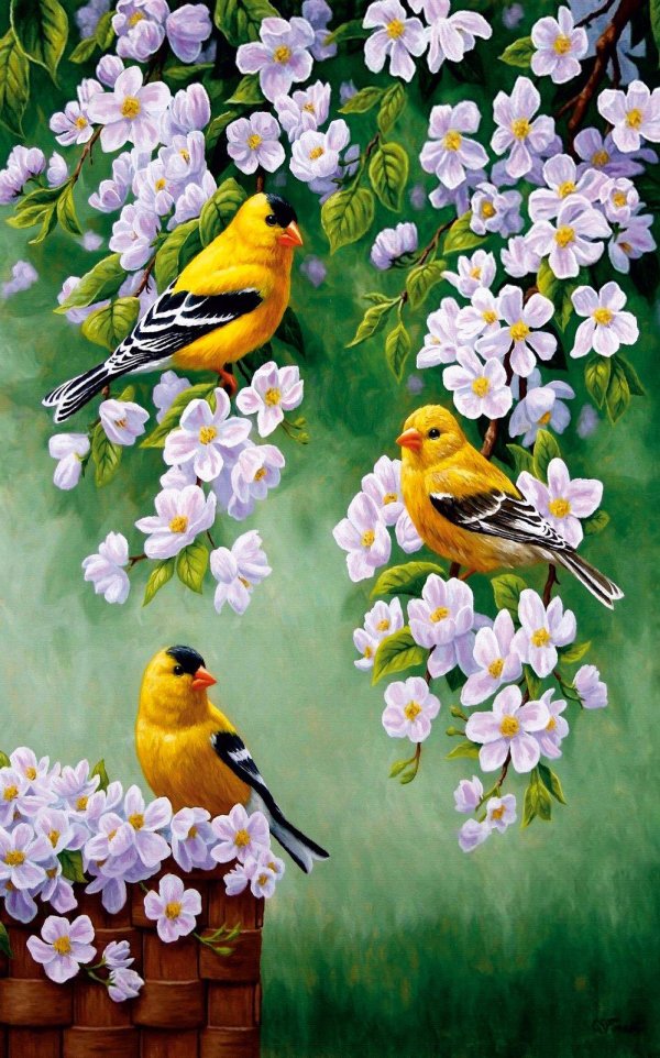 художница rosemary millette