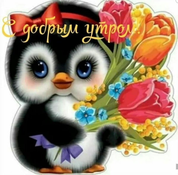 пожелания с добрым утром прикольные