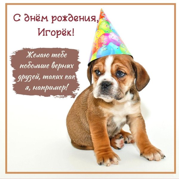 с днём рождения игорёк открытки