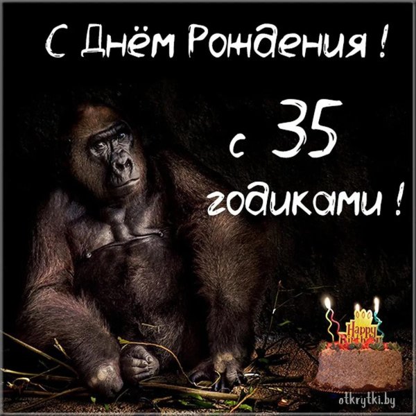 горилла обезьяна