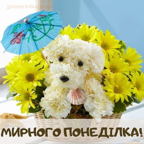 цветочная композиция