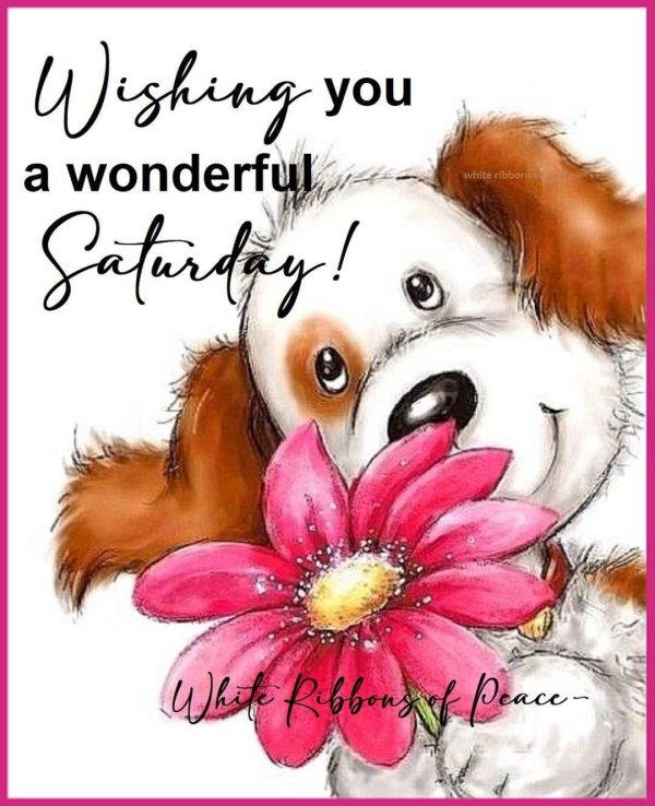 милая открытка