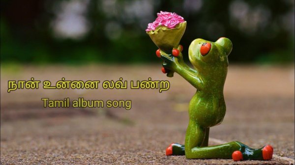 смешная лягушка