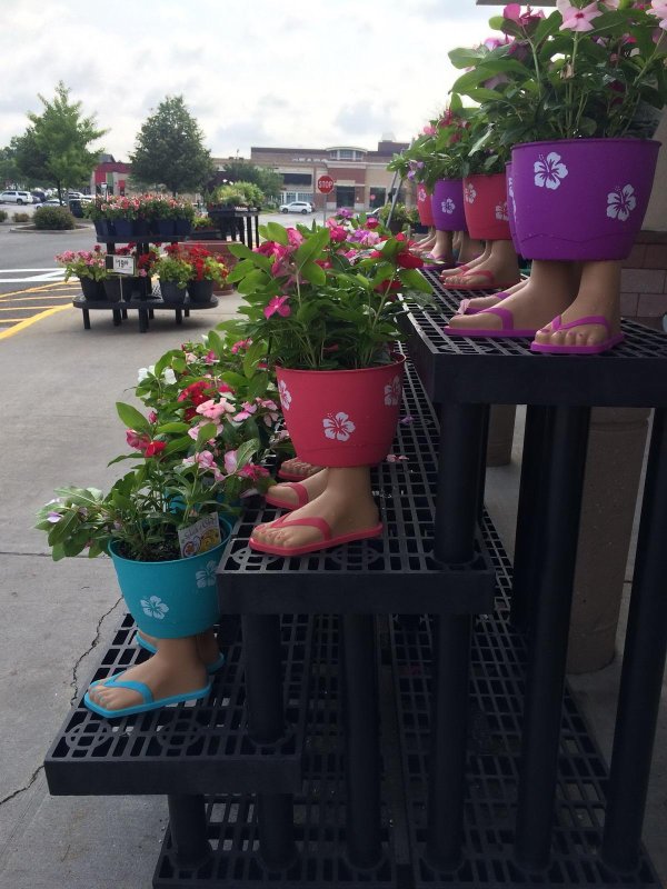 цветочные горшки