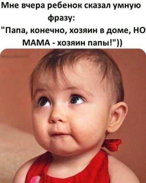 папа конечно хозяин в доме но мама хозяин папы