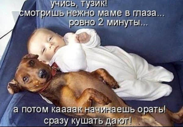 дети и животные