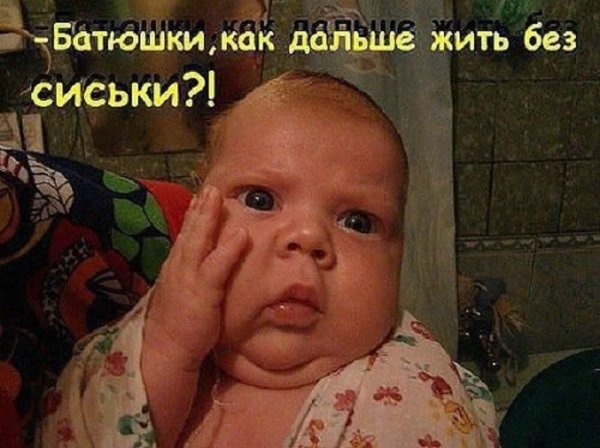 батюшки как дальше жить без сиськи