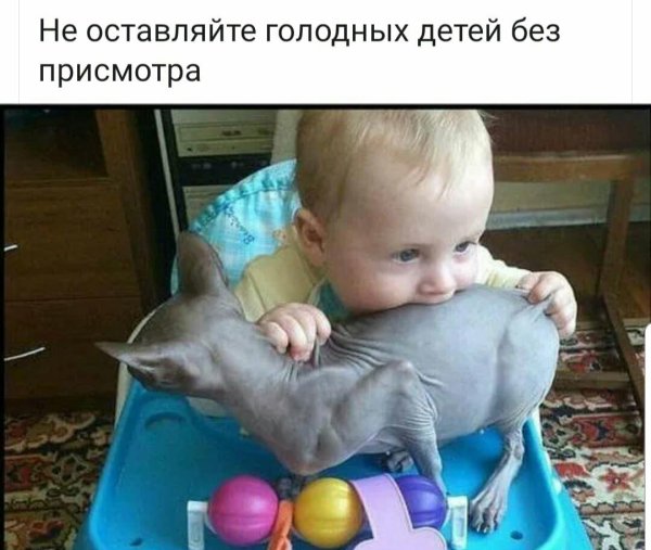 голод прикол