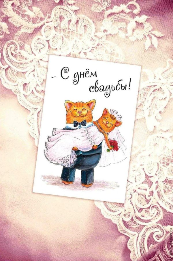 смешные открытки с днем свадьбы