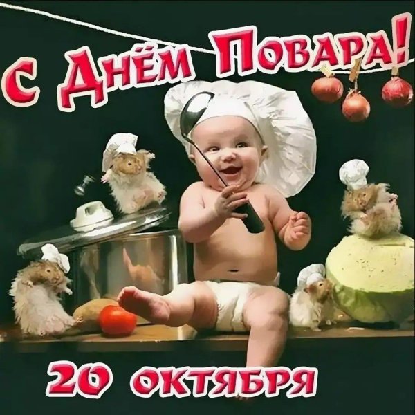 поздравление с днём повара прикольные