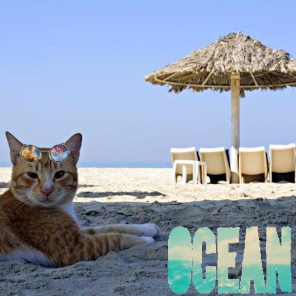 aladdin beach resort 4 египет хургада