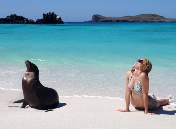 галапагосские острова эквадор